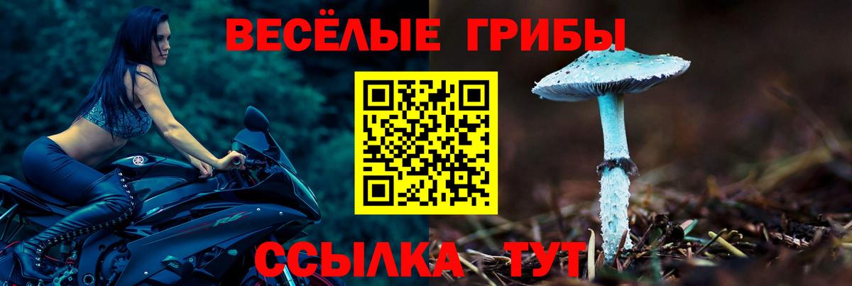 Псилоцибиновые грибы Cubensis  наркота  Осинники  Вход с VPN 